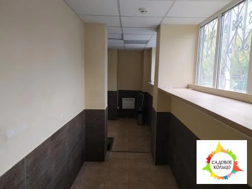 Помещение свободного назначения на цокольном многоквартирного жилого д - Фото 13