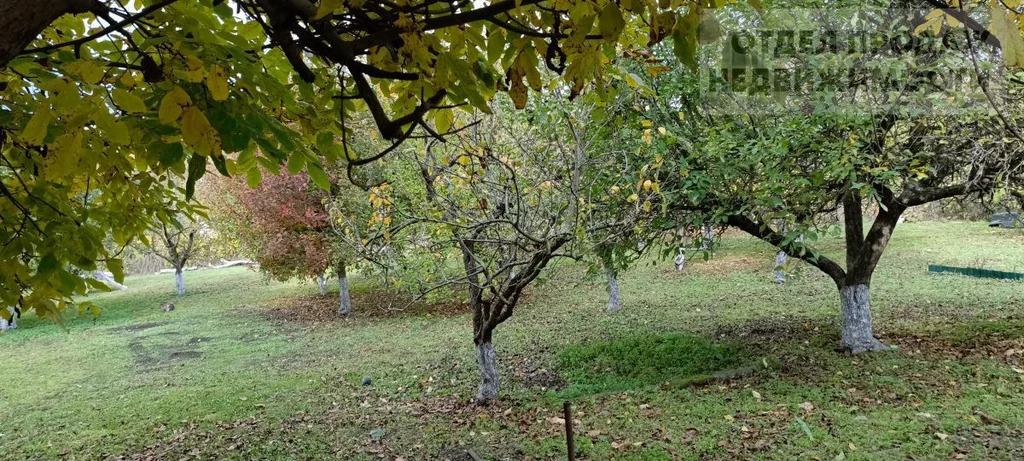 Дом в пригороде на участке 17 соток - Фото 2