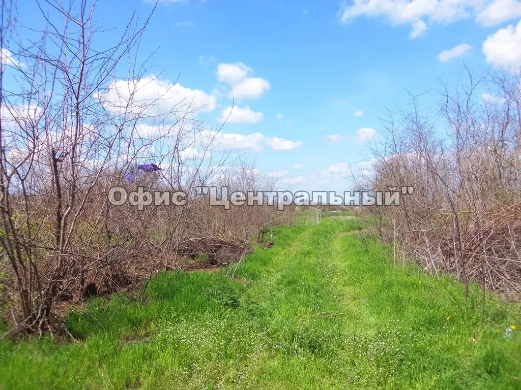 х. Арпачин, участок 30 соток в 1,5 км от реки Дон - Фото 6