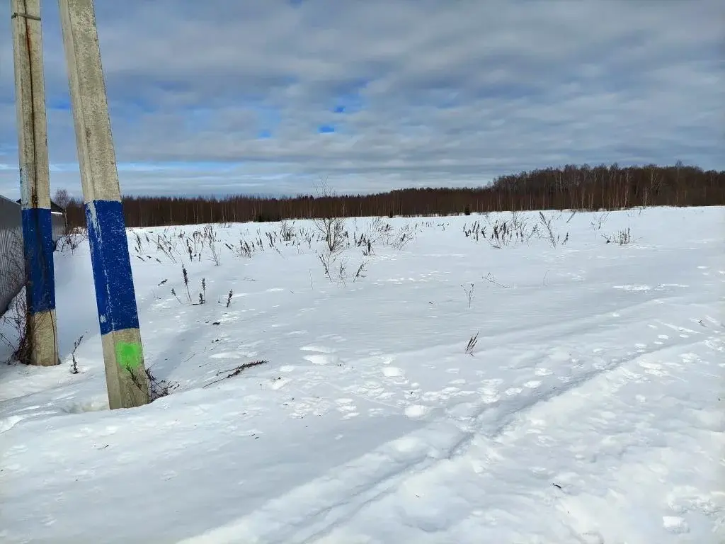 "Участок 15 ЛПХ в д. Селищево. - Фото 5