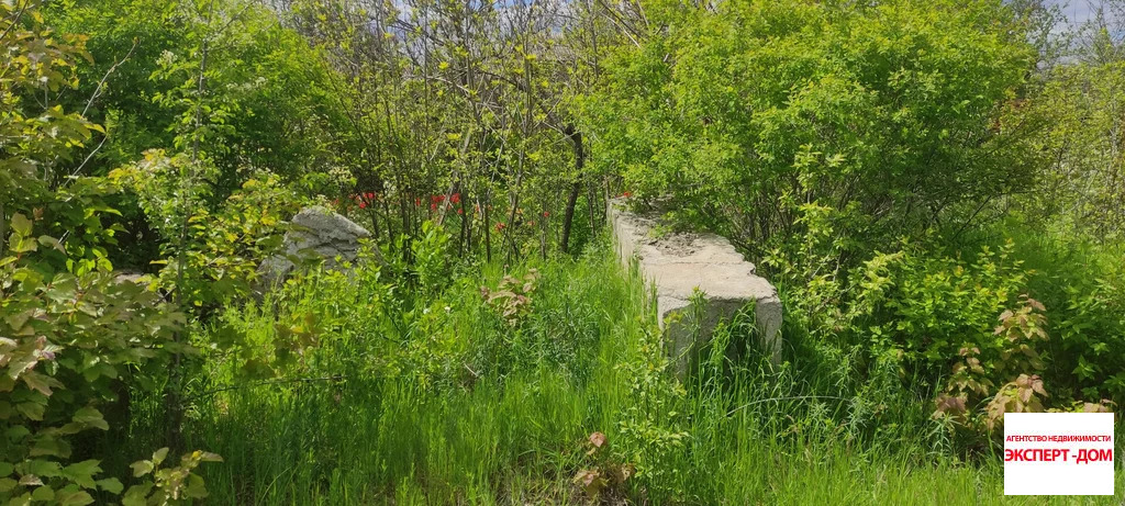 Продажа участка, Мержаново, Неклиновский район, Голубые ели сад - Фото 10