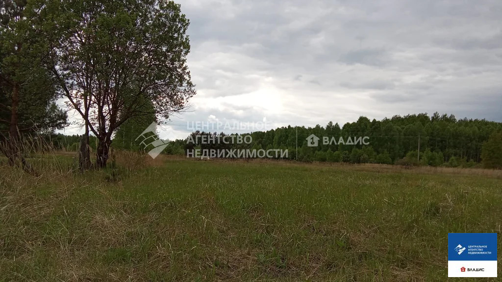 Продажа дома, Веретье, Спасский район, ул. Лесная - Фото 9