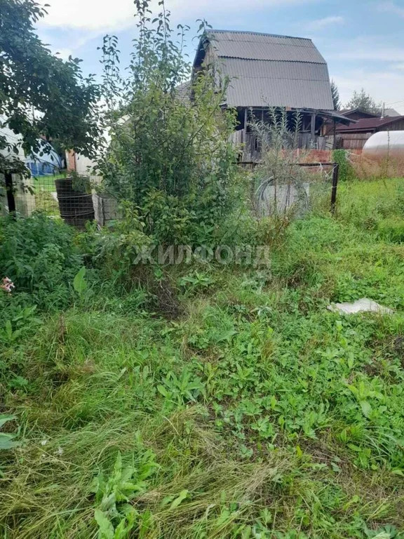 Продажа дома, Новосибирск - Фото 9