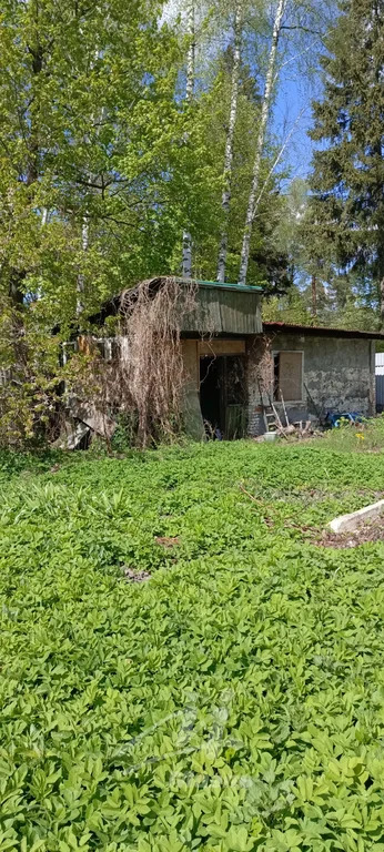 Продажа участка, Удельная, Раменский район, 3-го Интернационала ул. - Фото 3