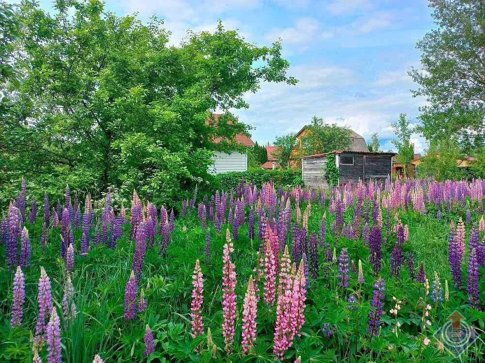 Продажа лесной дачи на 10 сот. в СНТ Порядино, Наро-Фоминский район - Фото 13