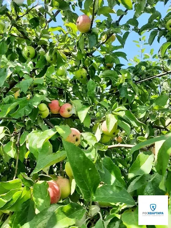 Продажа дома в Задонске - Фото 3
