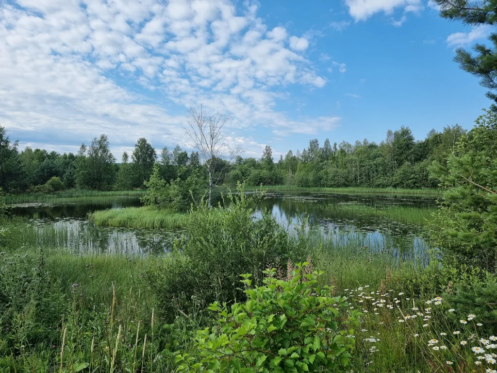 Продажа участка, Бородинское, Выборгский район - Фото 7
