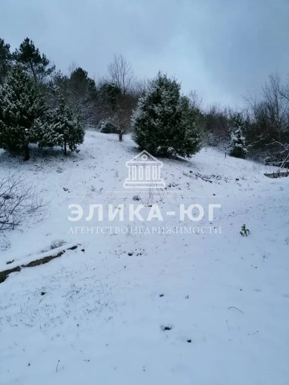 Продажа участка, Джубга, Туапсинский район, Платановая ул. - Фото 4