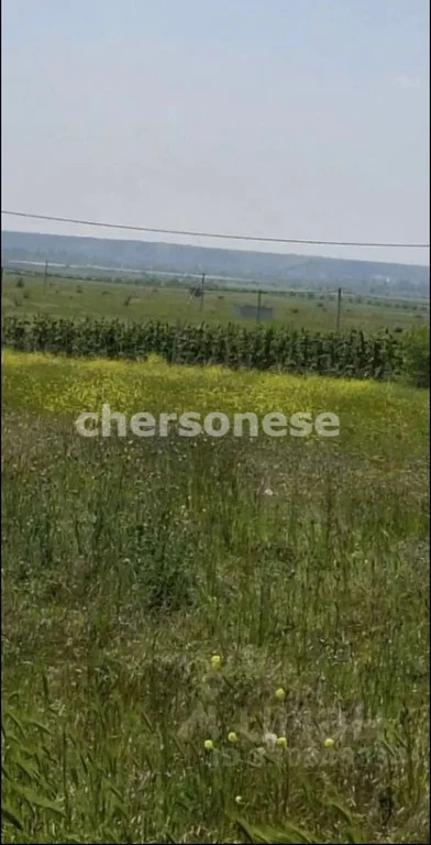 Продажа участка, Береговое, улица Новосёловская - Фото 6