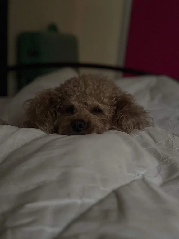 Аренда койко-места посуточно - Фото 1