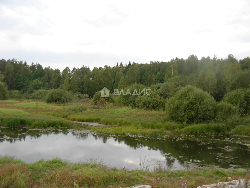 Судогодский район, деревня Кудрявцево,  земля на продажу - Фото 6