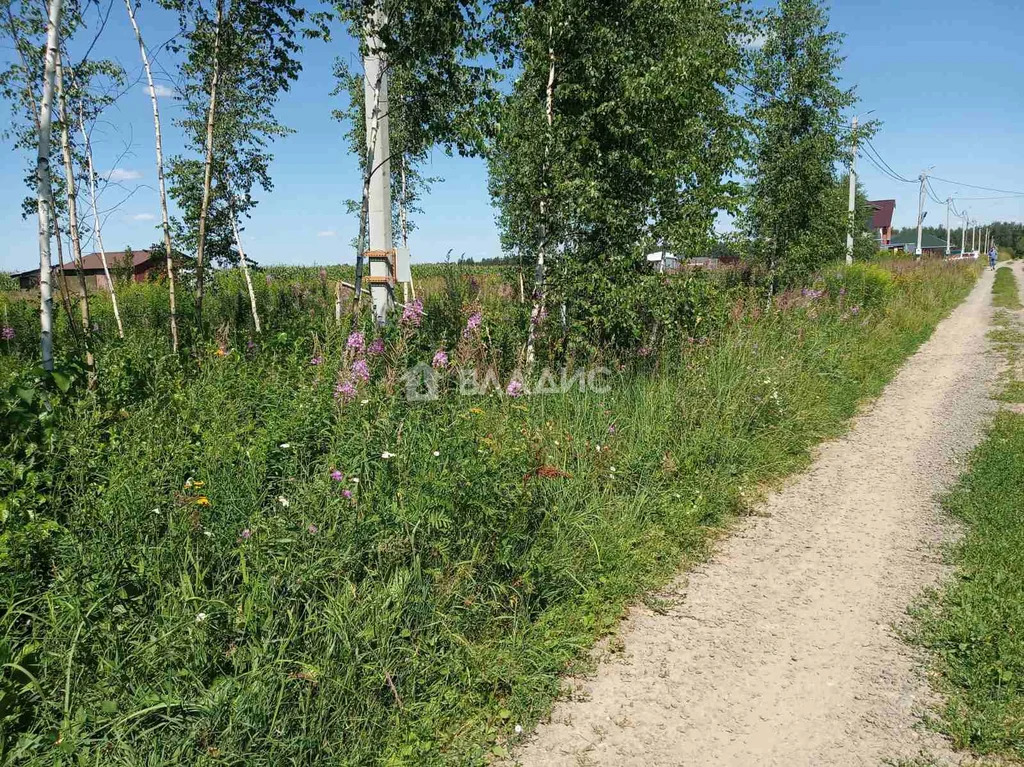 Собинский муниципальный округ, село Бабаево, Родниковая улица,  земля ... - Фото 5