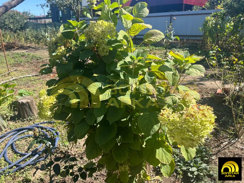 Продажа дома, Варениковская, Крымский район, ул. Красная - Фото 24