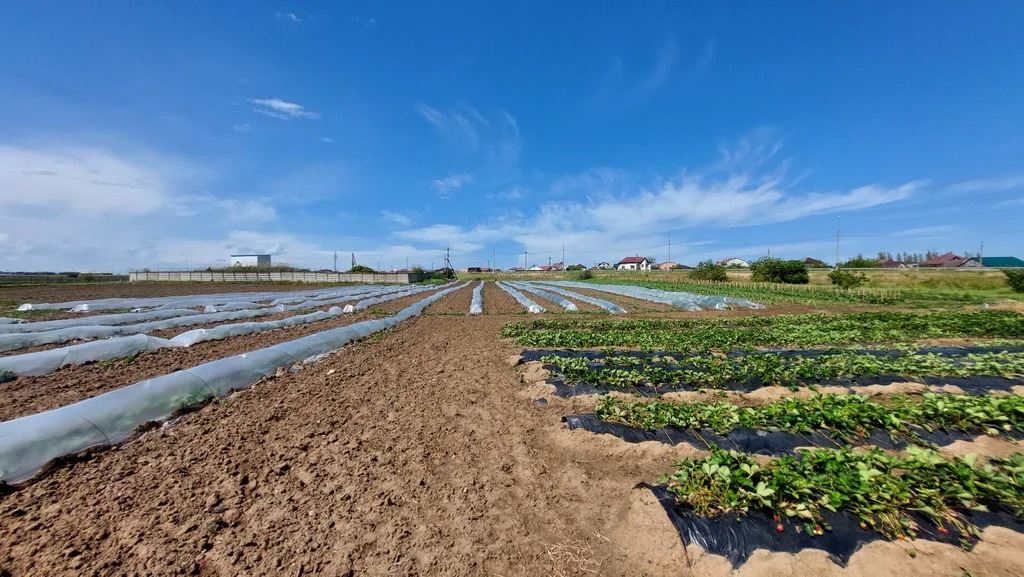 Продажа участка, Голубицкая, Темрюкский район, ул. Жеребцовой - Фото 9