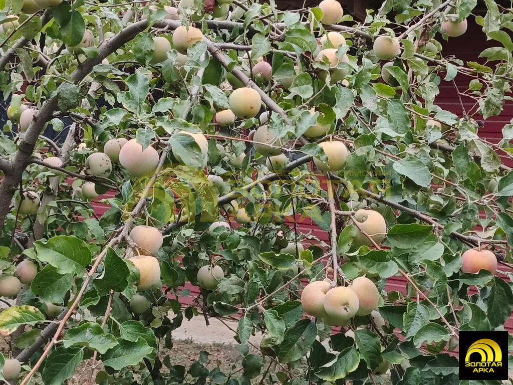 Продажа дома, Холмская, Абинский район, ул. Ленина - Фото 28