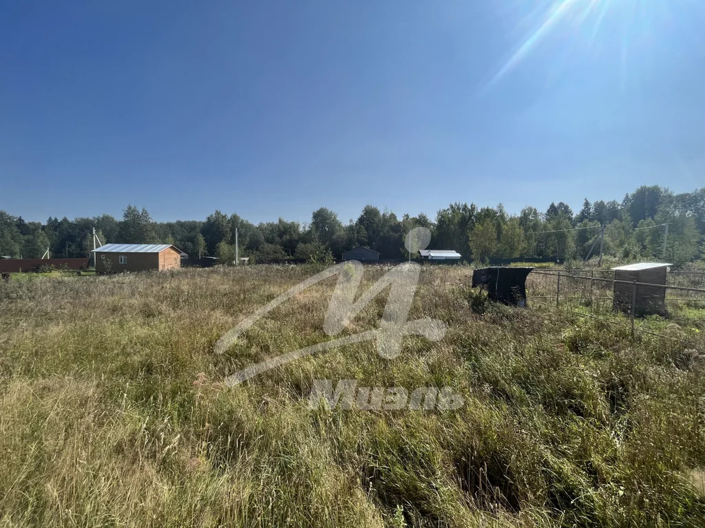 Продажа участка, Языково, Клинский район, Матвеево тер. ТСН. - Фото 10