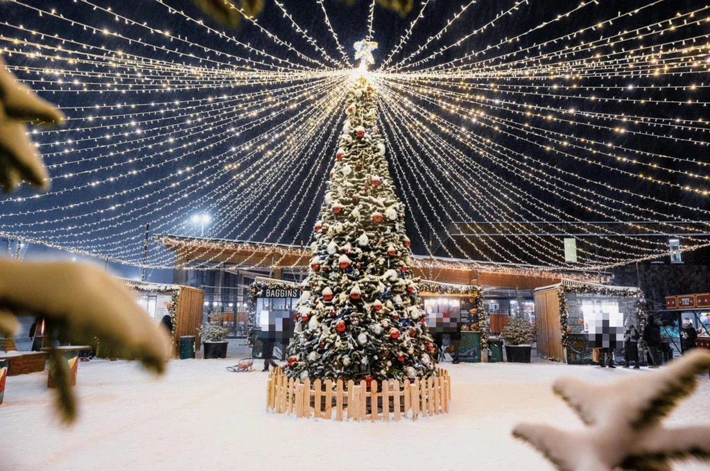 Дом 670 м2 на участке 50.84 сот. - Фото 5