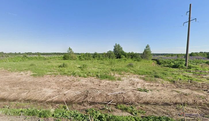 Продажа земельного участка, Борихино, Клинский район, д. 1г - Фото 1