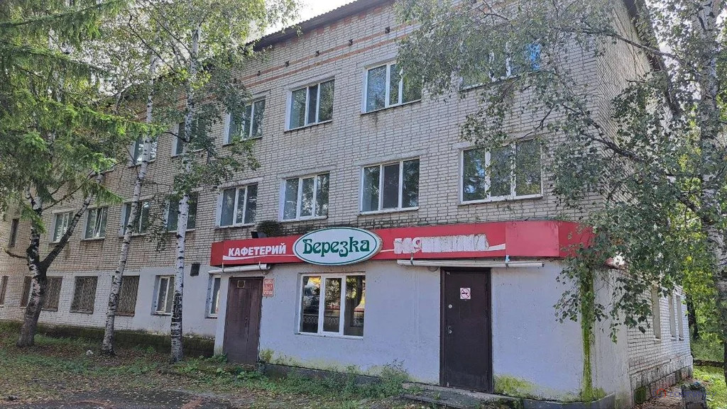 Продажа ПСН, Облучье, Облученский район, Кооперативный пер. - Фото 0