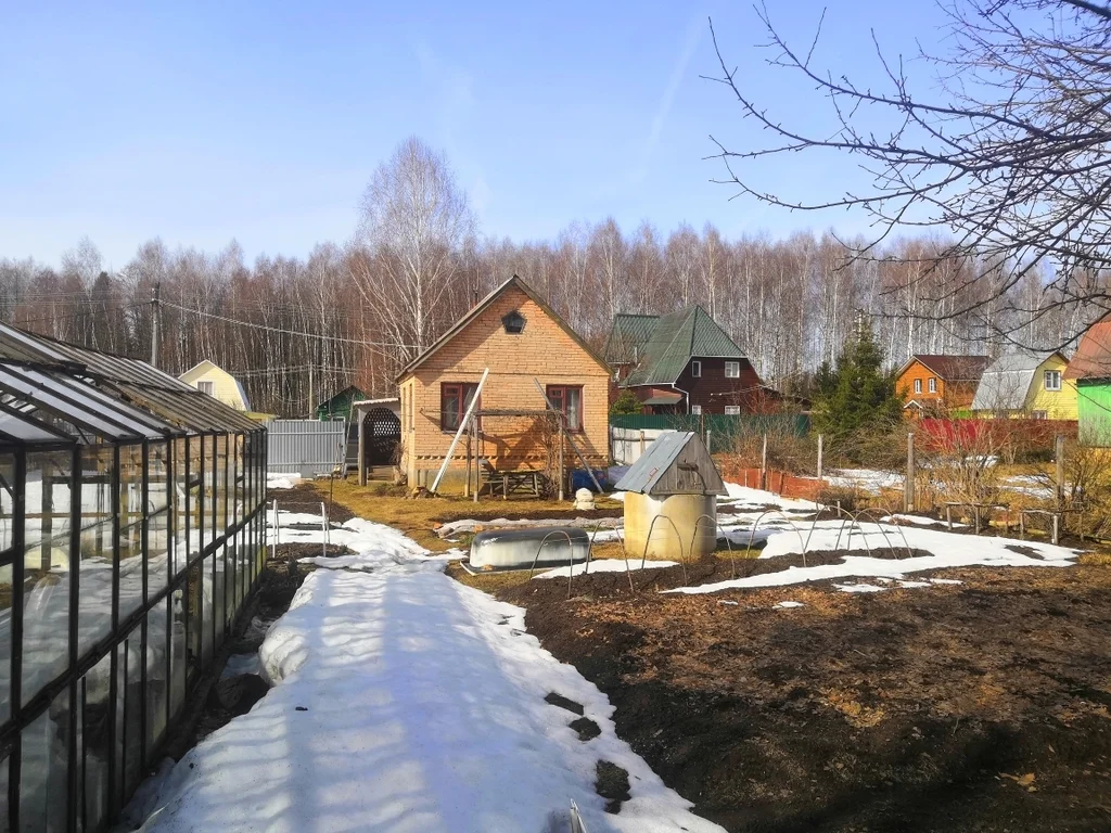 Павловские дачи погода почасовая. Павловские дачи погода почасовая. Снт статистик васютино. Васютино снт маяк. Павловские дачи погода почасовая.