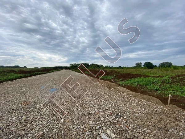 МО, Богородский г.о., Промышленный парк, Земельный участок 6,76 га ... - Фото 6