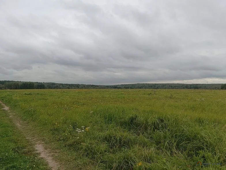 Продажа участка, Семеновское, Серпуховский район - Фото 5