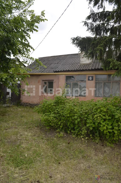 Продам родовую усадьбу - Фото 12