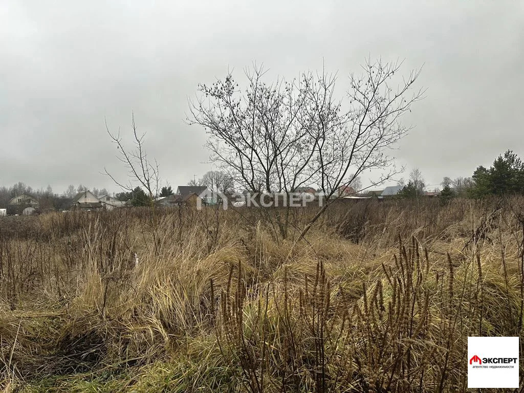 Земельный участок, д. Ефимово - Фото 4