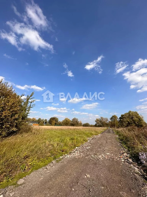 Ленинский городской округ, село Остров, Преображенская улица, земля . - Фото 9