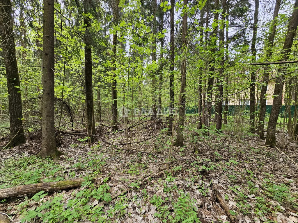 Наро-Фоминский городской округ, СНТ Новые Черёмушки,  земля на продажу - Фото 0