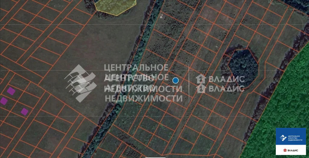 Продажа участка, Горяйново, Рыбновский район - Фото 3