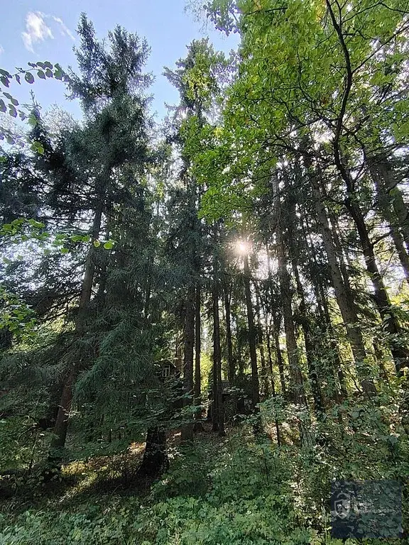 Обжитой стародачный поселок  Фрунзевец. 30 км от МКАД по Киевскому ш. - Фото 1