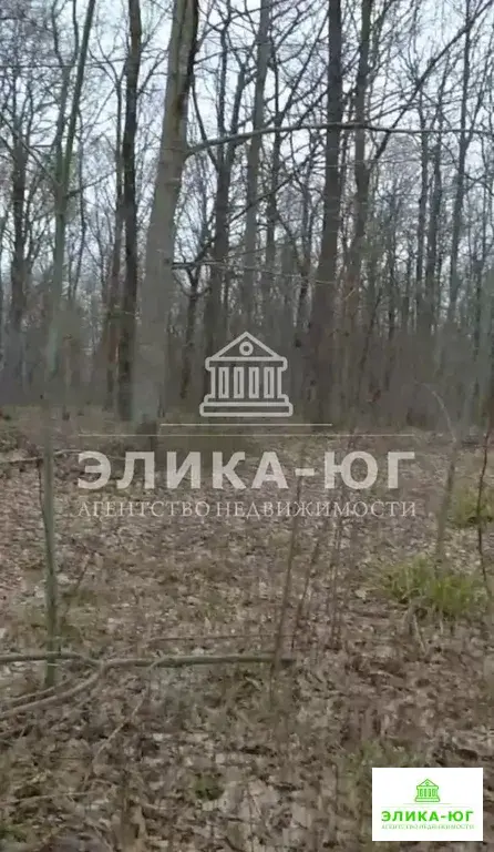 Продажа участка, Новомихайловский, Туапсинский район, Лесной-мкр. - Фото 2
