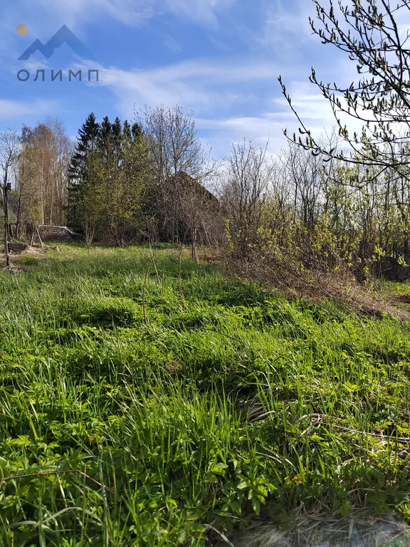 Продажа участка, Кривое, Вологодский район, 8 - Фото 0