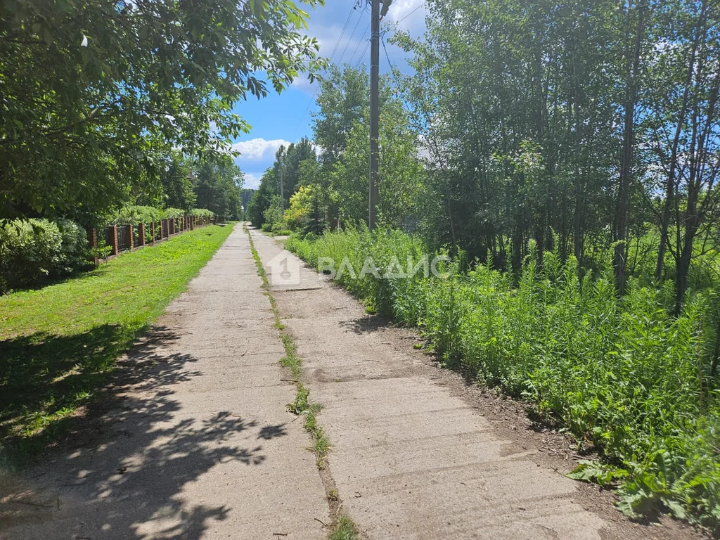 городской округ Пушкинский, село Ельдигино, микрорайон Новое ... - Фото 6