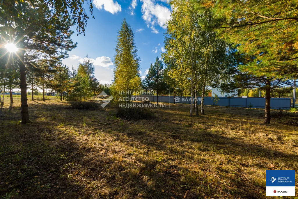 Продажа участка, Рязанский район - Фото 10