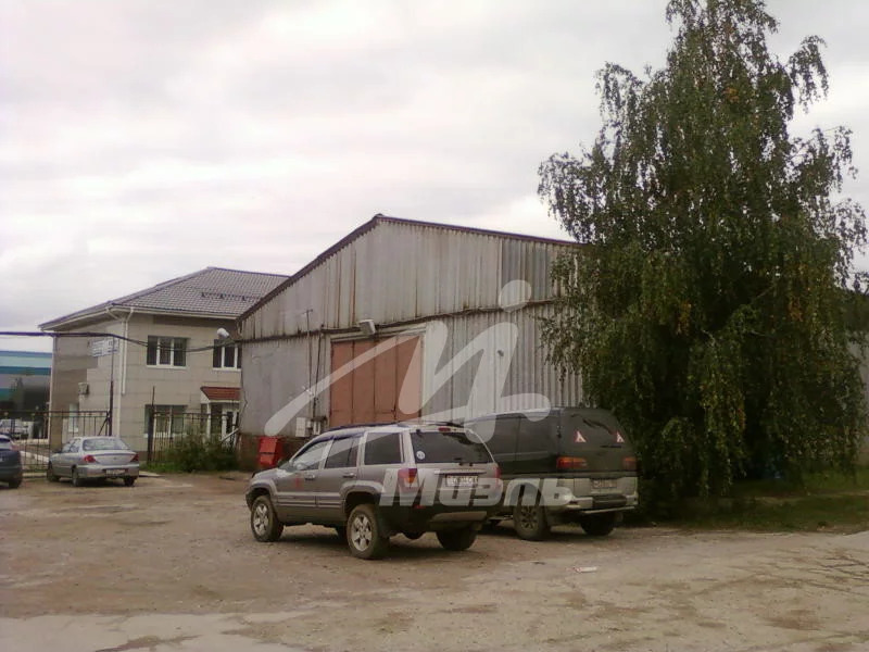 Продажа земельного участка, Малые Вяземы, Одинцовский район, ... - Фото 10