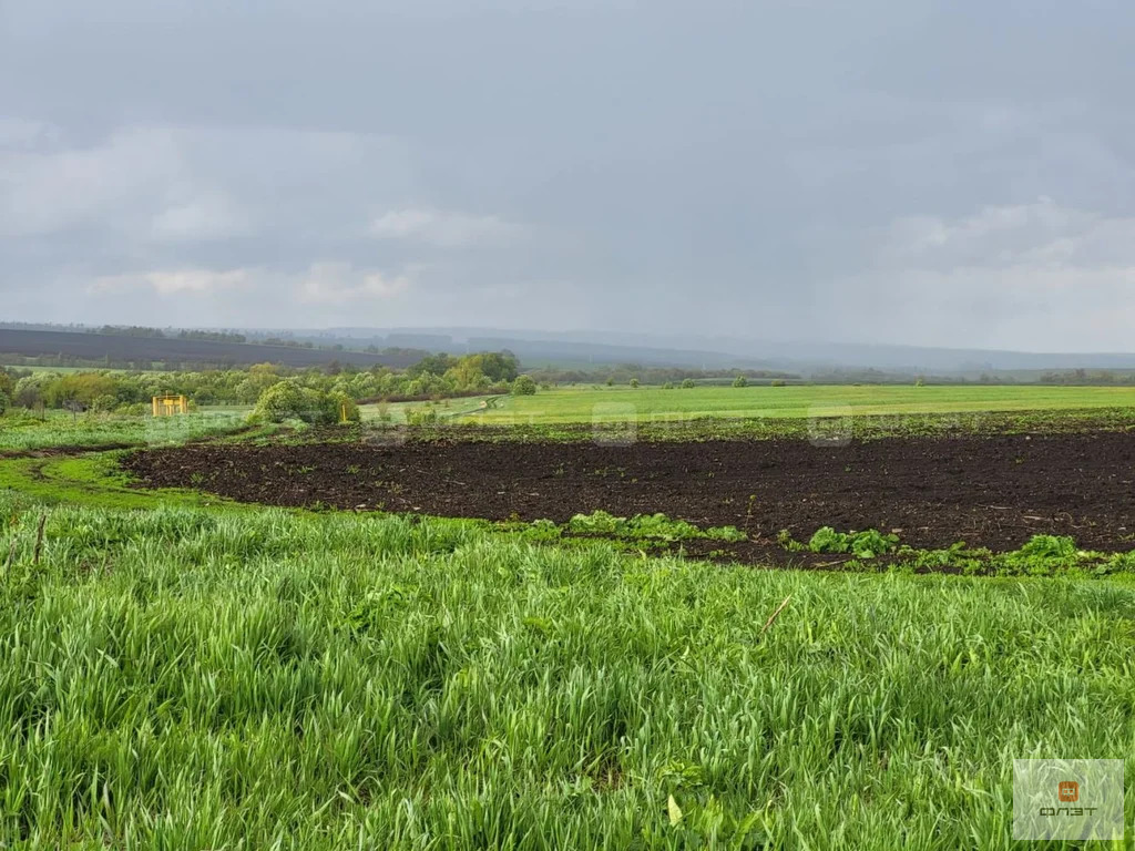 Продажа участка, Удельное Нечасово, Тетюшский район, ул. Комарова - Фото 6