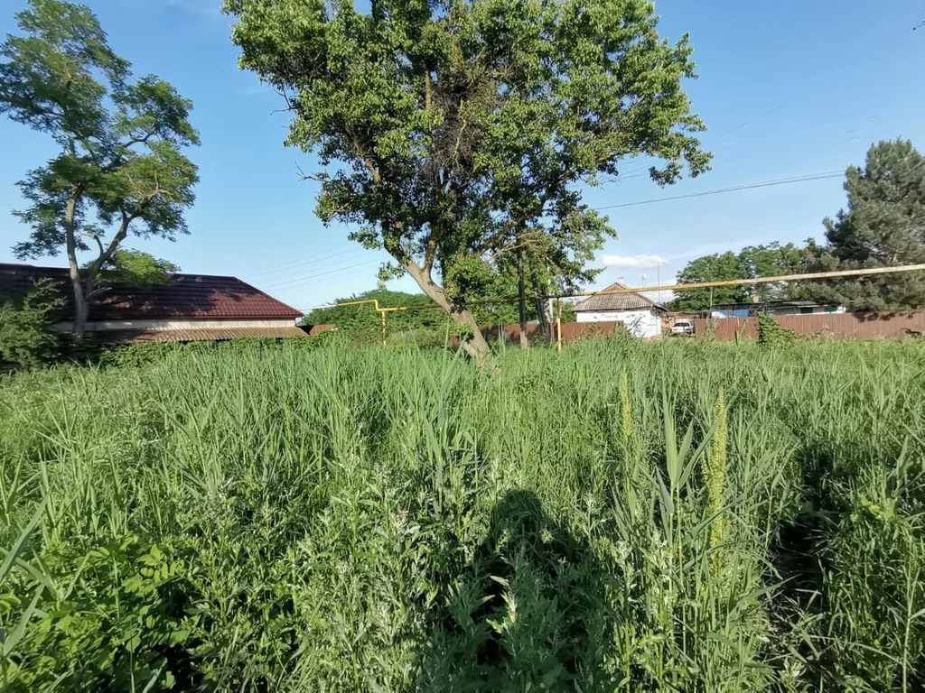 Продажа участка, Старонижестеблиевская, Красноармейский район, Ул. . - Фото 8