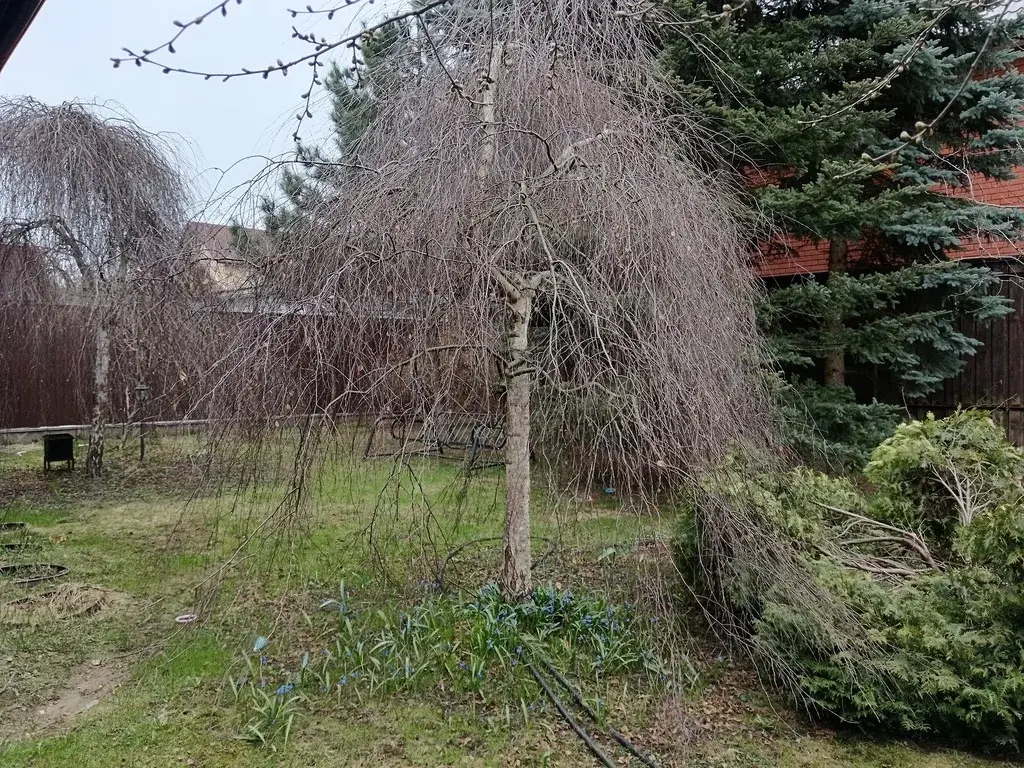 Сдается дом 274 кв.м в д. Никульское г.о. Мытищи - Фото 13