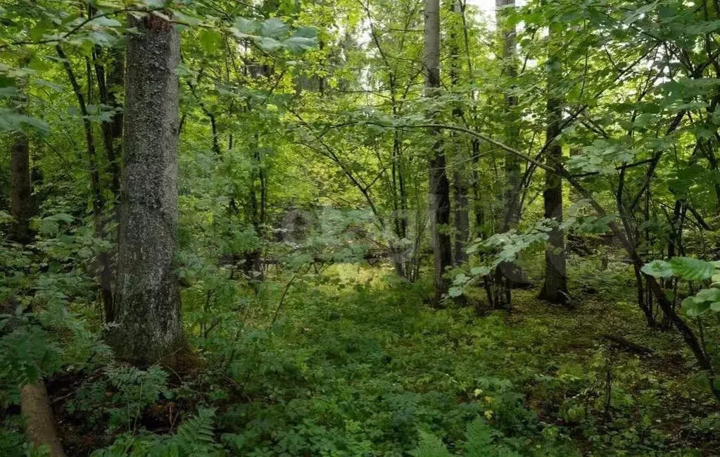 Продажа дома, Электросталь, СНТ Нижний Восход - Фото 2