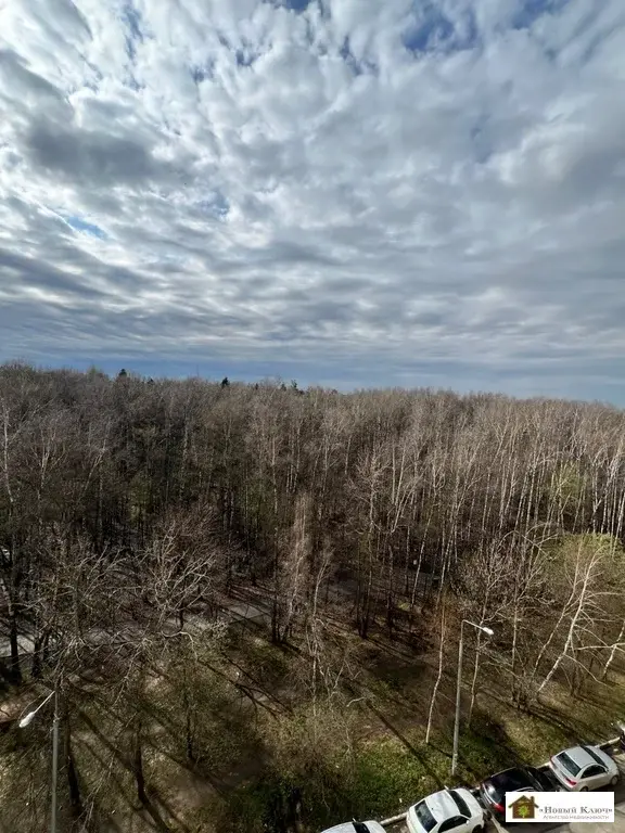 Продается двушка с евро-ремонтом мкр-н Ольгино, ул. Шестая, д.13 - Фото 15