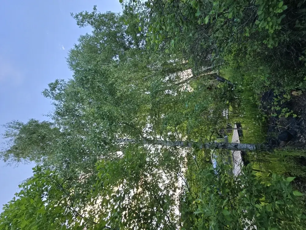 Продаю дачу в с. Покровское - Фото 15