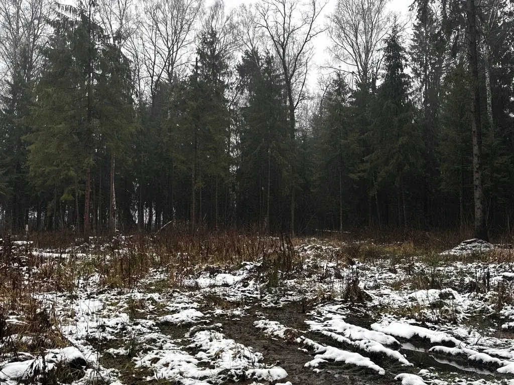 Земельный участок 15 соток в Московская обл., пос. Некрасовский - Фото 4