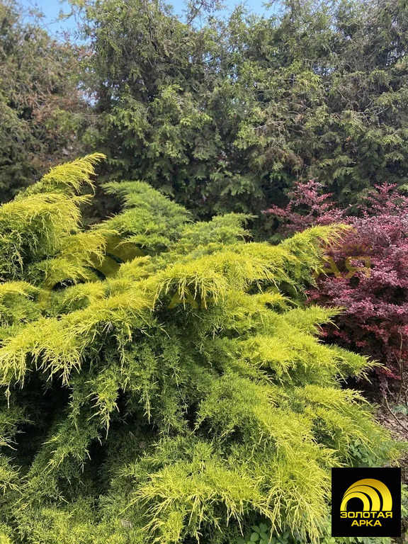 Продажа дома, Веселовка, Темрюкский район, ул. Босфорская - Фото 3