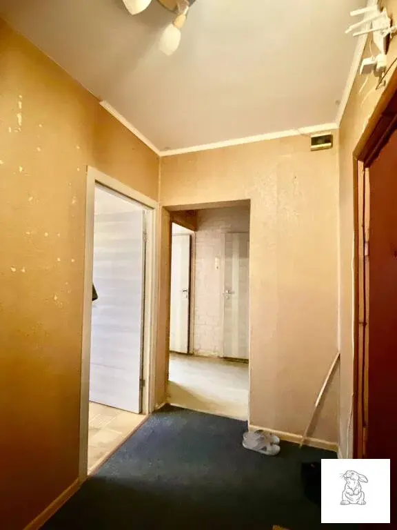 Лучшее предложение1 - Фото 19