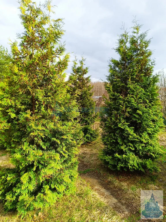 Продажа дома, 37 - Фото 4