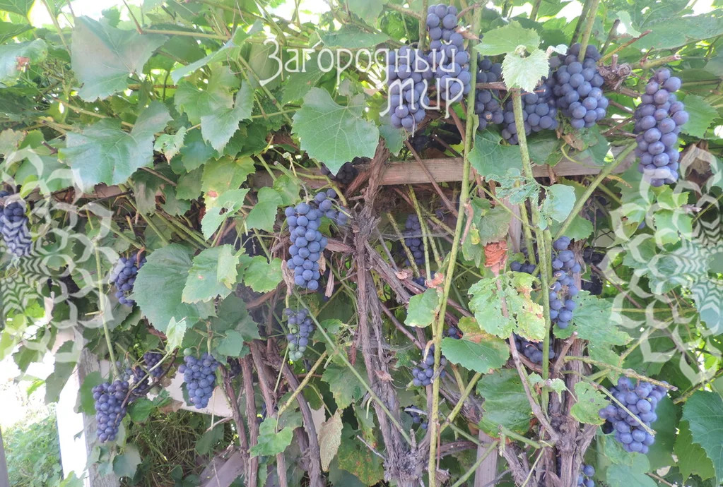 Продам дом, Симферопольское шоссе, 45 км от МКАД - Фото 70