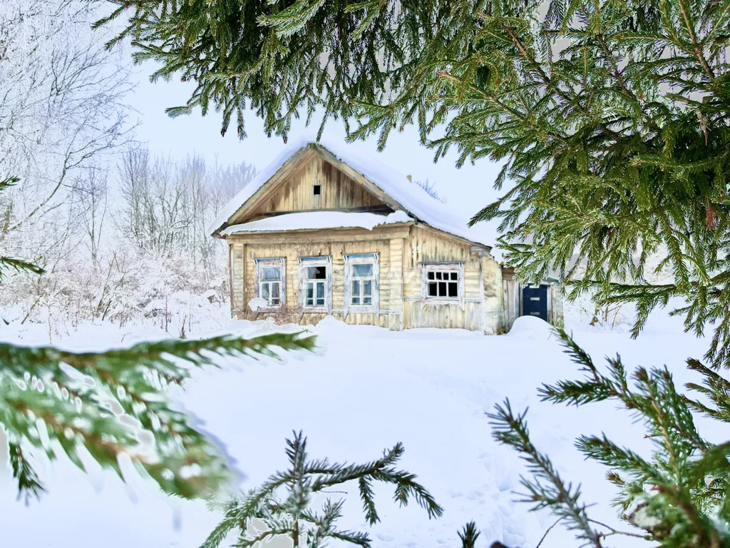 Гаврилово-Посадский район, село Владычино,  дом на продажу - Фото 0