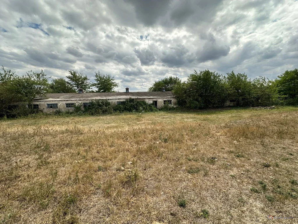 Продажа производственного помещения, Раздольное, Новоалександровский ... - Фото 8